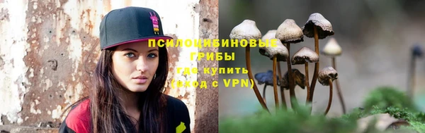 спайс Дмитров