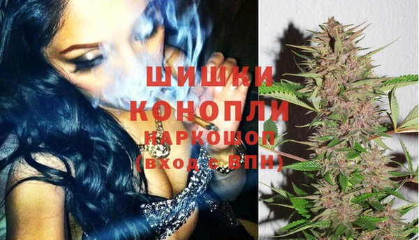 спайс Дмитров