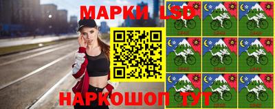 индика Краснознаменск