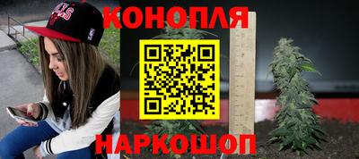стаф Краснодар