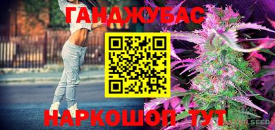 индика Краснознаменск