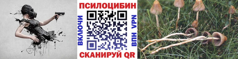 мега сайт  Зеленогорск  Галлюциногенные грибы прущие грибы  даркнет сайт 