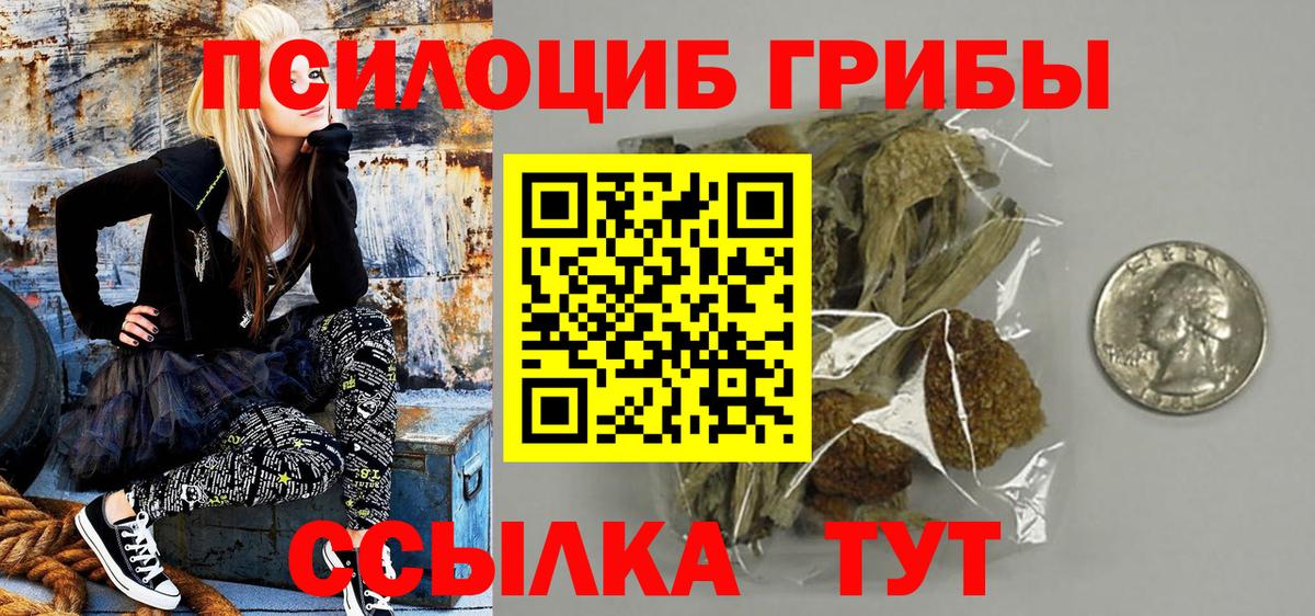 Псилоцибиновые грибы GOLDEN TEACHER  Вход с VPN  сколько стоит  Зеленогорск 